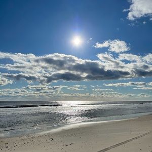 Meet your Posher, Diana